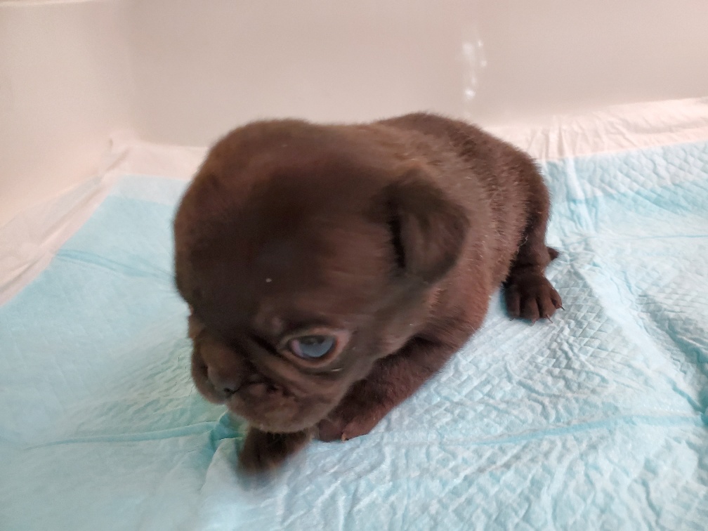 ブラック&nbsp;男の子