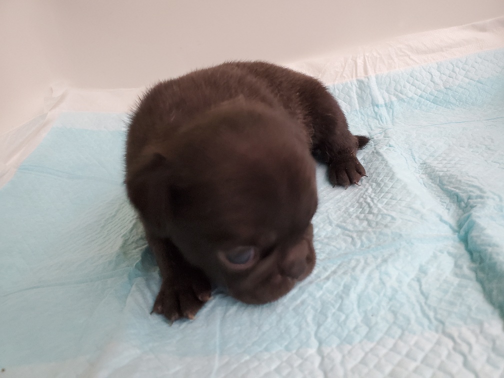 ブラック&nbsp;女の子