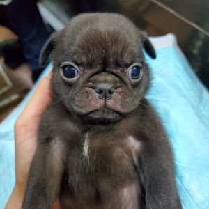 ブラック&nbsp;男の子