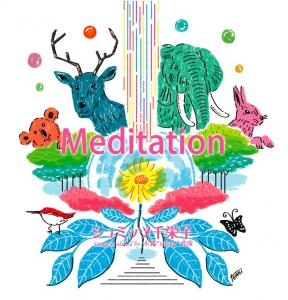 『Meditation/シュミッツ千栄子』